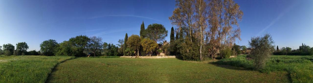 Podere La Fornace ラヴィ エクステリア 写真